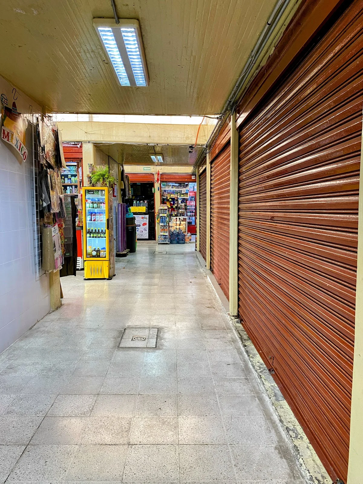 Mercado Xotepingo