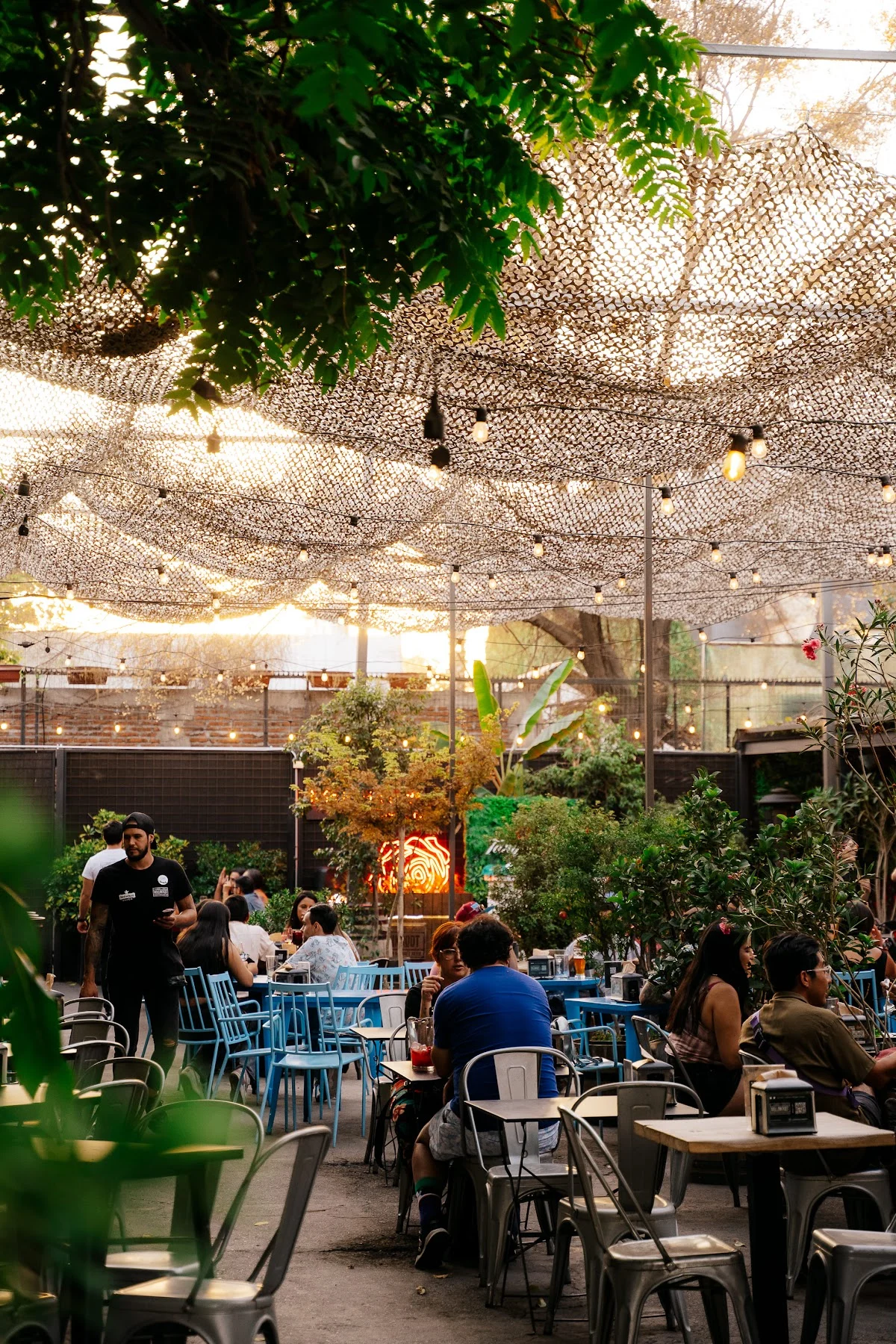 Jardín Mallinkrodt