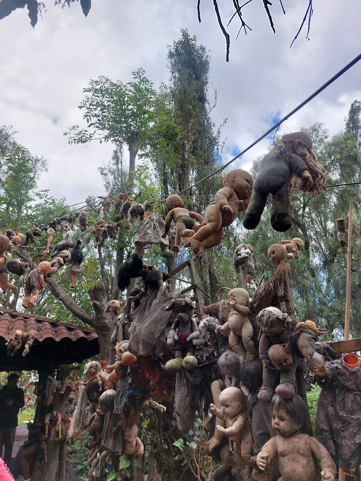 La Isla de las Muñecas