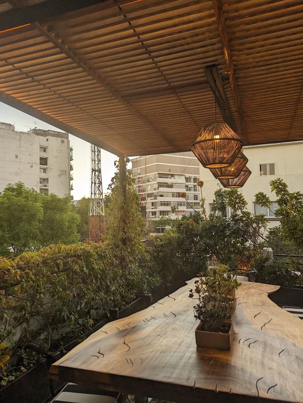 Casa Decu