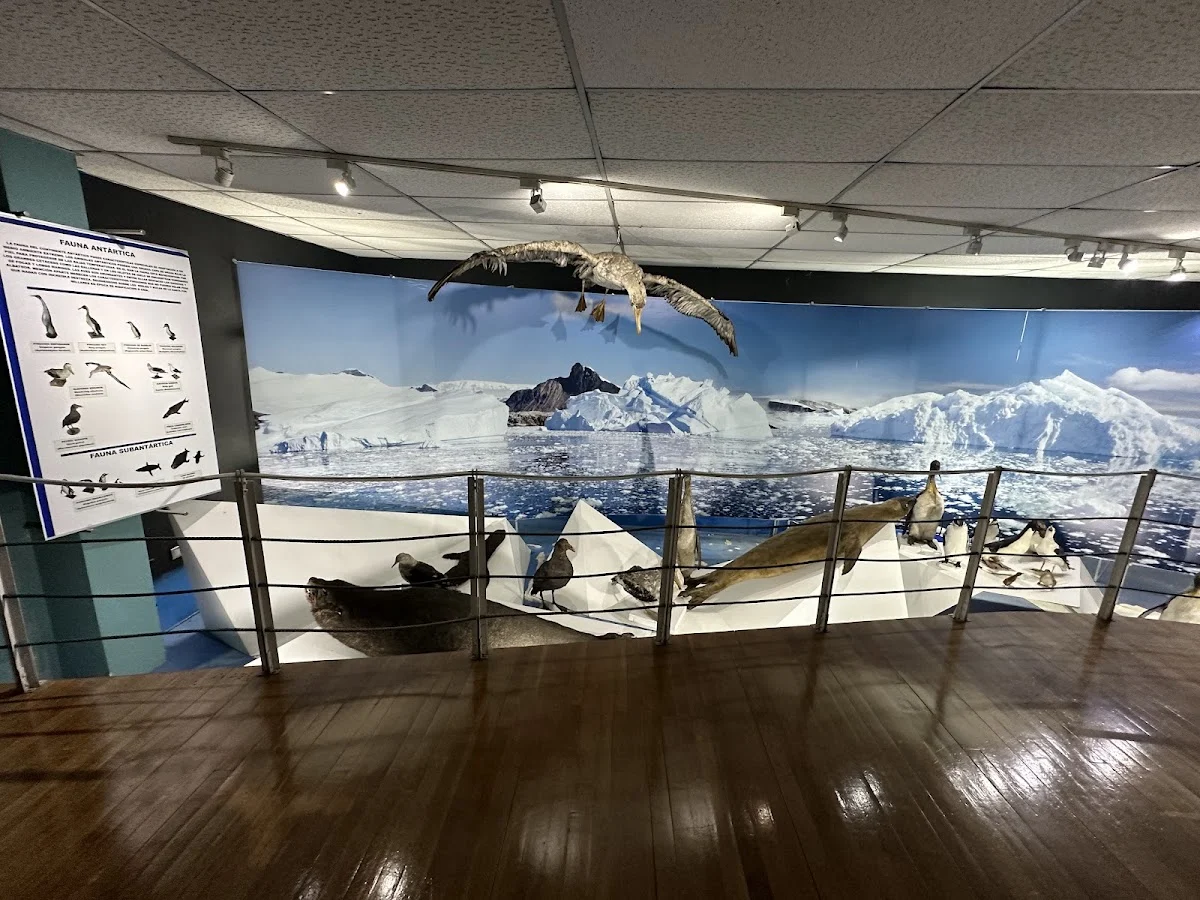 Museo Maggiorino Borgatello