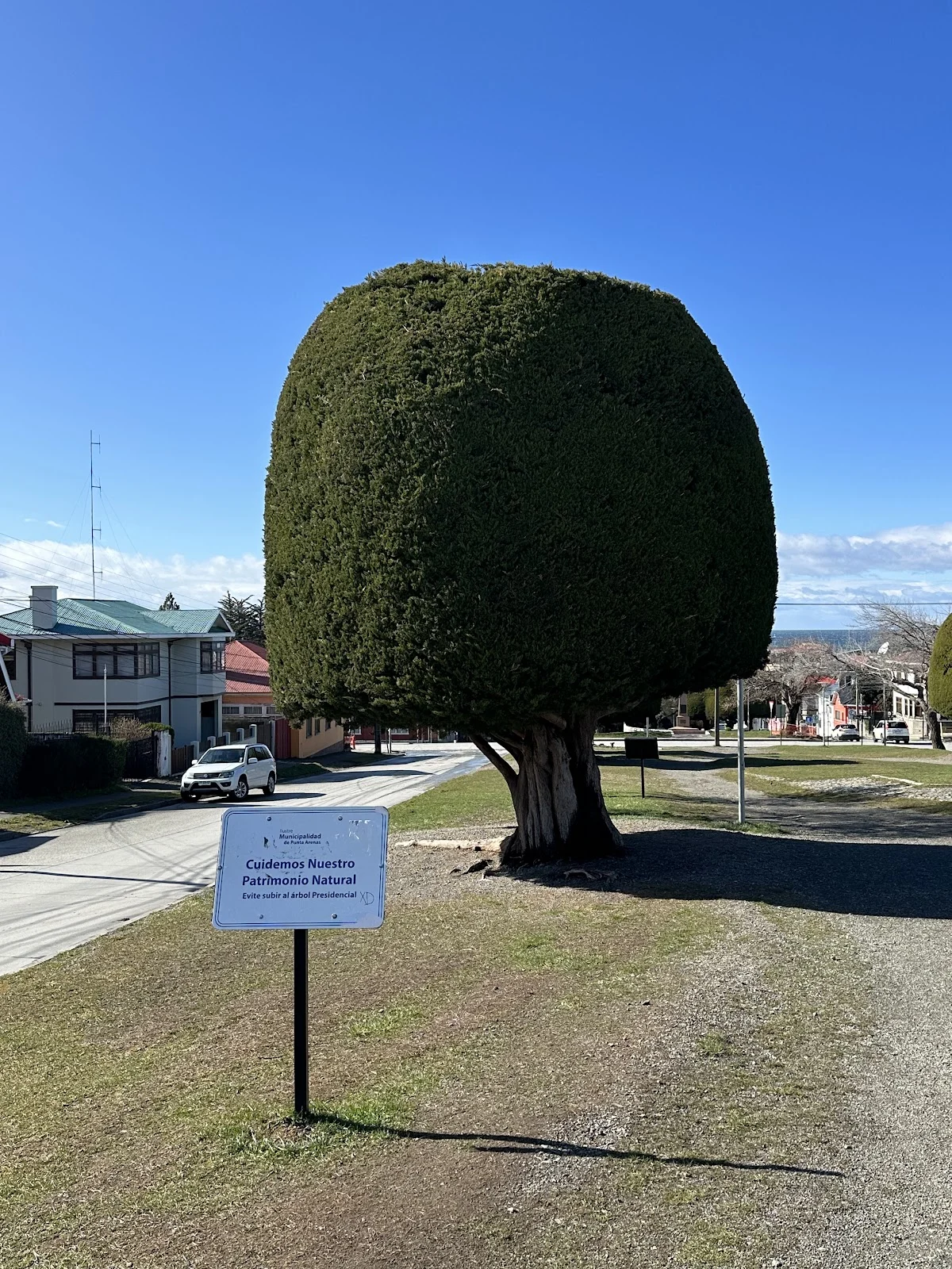 Árbol Presidencial